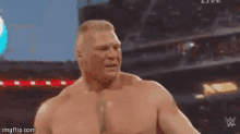 brock-lesnar-lesnar.gif