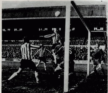 Brum69Addogoal.gif