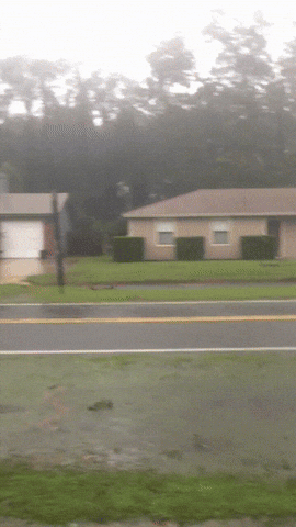 1734093017770.gif