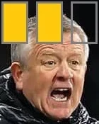 Wilder Yellows 2.webp