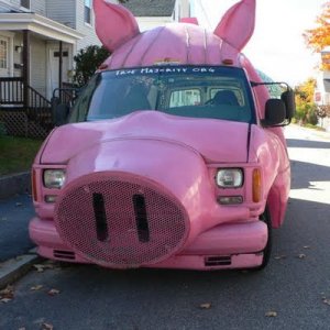 pig car.jpg