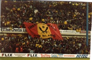 Blades flag at the sty.jpg
