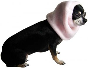 SNOOD[1].jpg