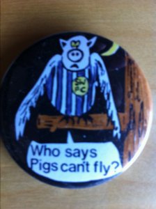 pig1.jpeg