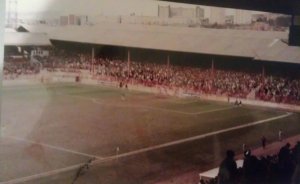IMAG0022-1-1.jpg