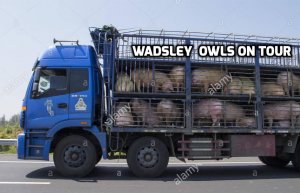 addtext_com_MTQzMTEwMzIzNTE (2).jpg