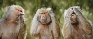 3-Monkeys-1180.jpg