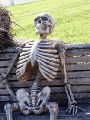 1736966537338.gif