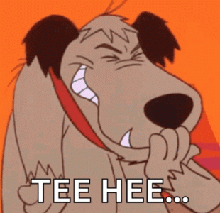 1737152372345.gif