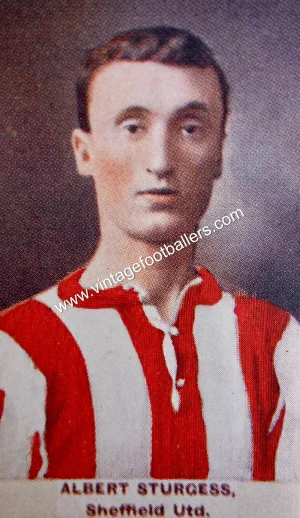 Sturgess Albert - Colour.webp