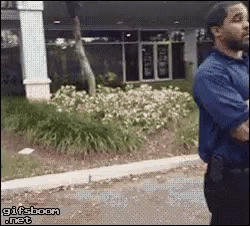 1740653299233.gif