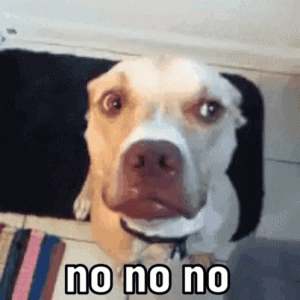 1740677775602.gif