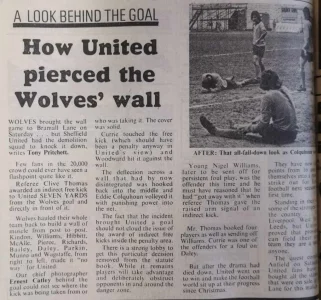 Wolves75wallPritc.webp