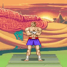 street-fighter-sagat.gif