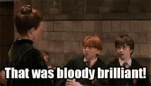 ron-weasley-bloody-brilliant.gif