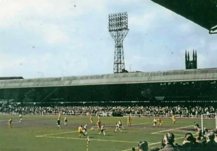 Wolves65crowd.webp