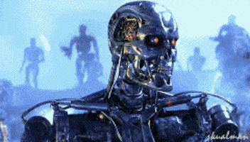 1746303261691.gif