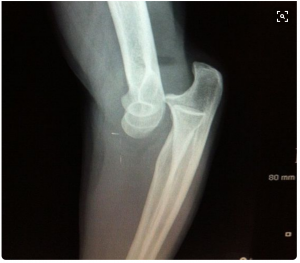 Screen Shot 2017-01-08 at 12.03.25.png