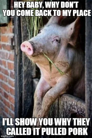 pulled-pork.webp