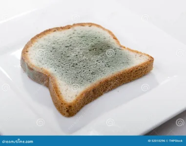 mouldy-bread-mould-growing-rapidly-green-white-spores-52010296-2041761685.webp