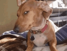 me-seeing-a-fat-dude-meme.gif