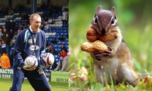 Squirrel.webp