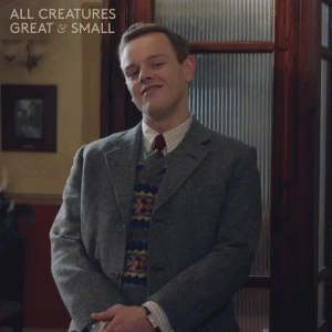 1750258101770.gif