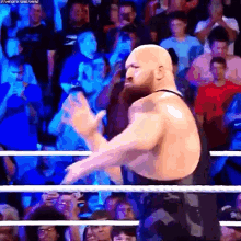 IMG_4593.gif