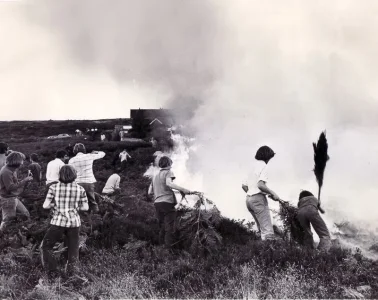 totley moor fire.webp