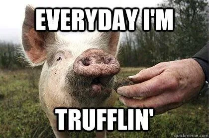 pig-meme-snout-everyday-fm-trufflin-quickmemecom.webp
