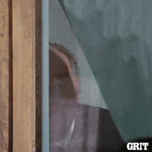 1755634894837.gif