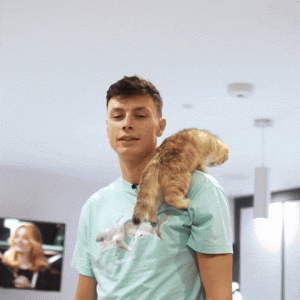 1755681361896.gif