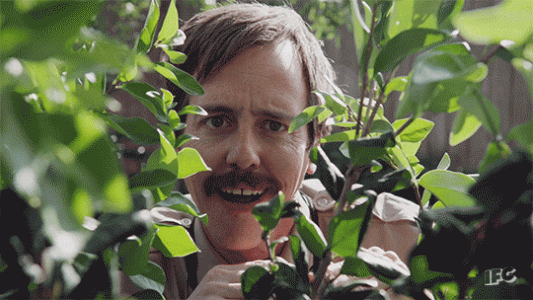 1755694698792.gif