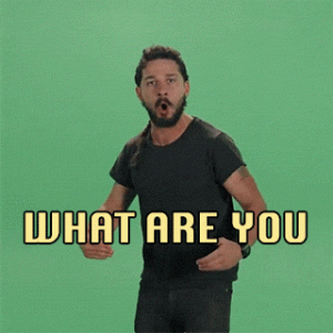 1755758159104.gif
