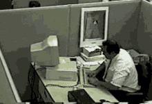 IMG_3775.gif