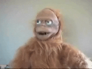 monkey.gif