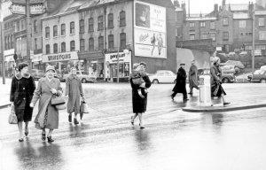 s19560.jpg