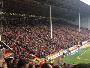 image.jpeg image.jpeg