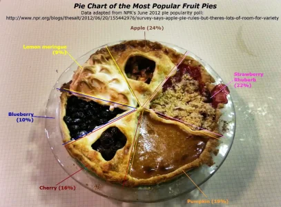 piechartpie_custom-18b7da920098dad365424045fdd164f7de6db937.webp
