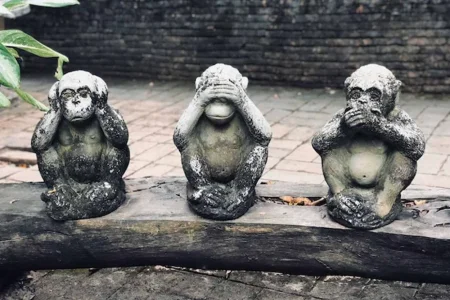 1757786195124.webp 1757786195124.webp