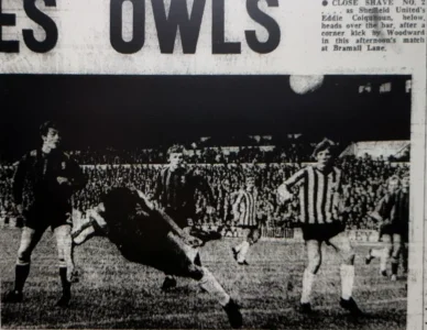 Boro70Eddie.webp