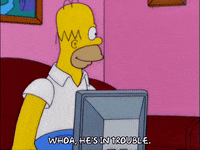 IMG_0937.gif