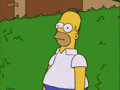 IMG_2949.gif