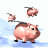 flying-pig-pig.gif