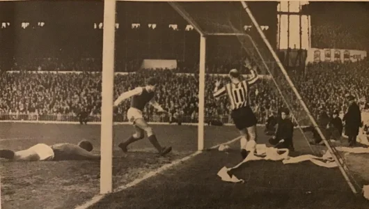 1762529676691.webp 1762529676691.webp