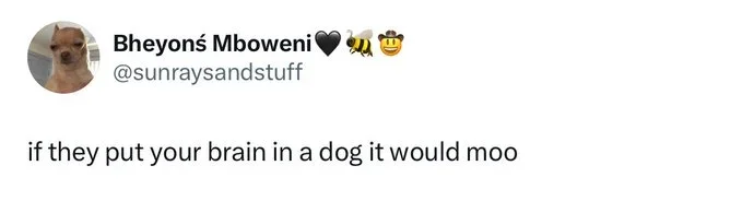 IMG_5452.webp IMG_5452.webp