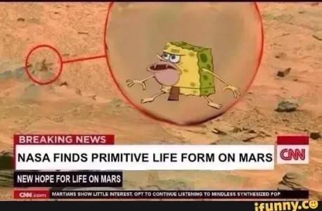 1763130652388.webp 1763130652388.webp