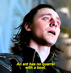 IMG_2987.gif IMG_2987.gif