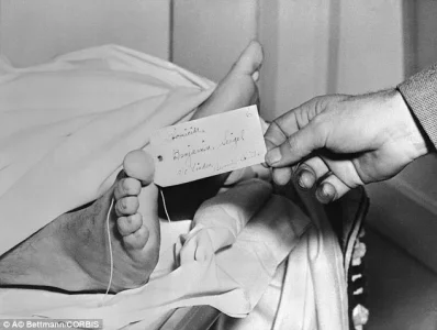 1412125662522_wps_25_June_1947_Ben_Bugsy_Siege.webp 1412125662522_wps_25_June_1947_Ben_Bugsy_Siege.webp