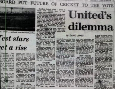 cricketDec10th top.webp